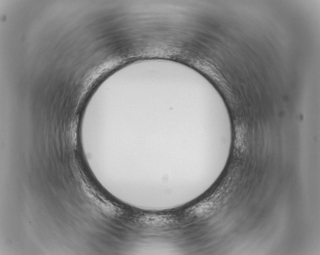 X0000087390632200705111801