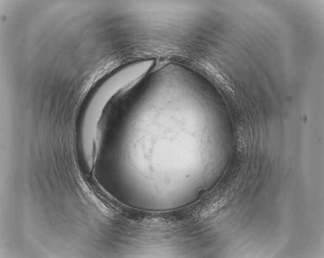 X0000087390634200705111801