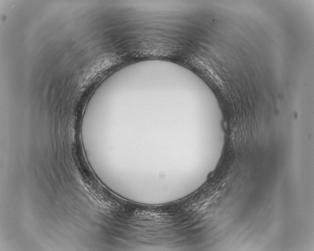 X0000087390635200705111801