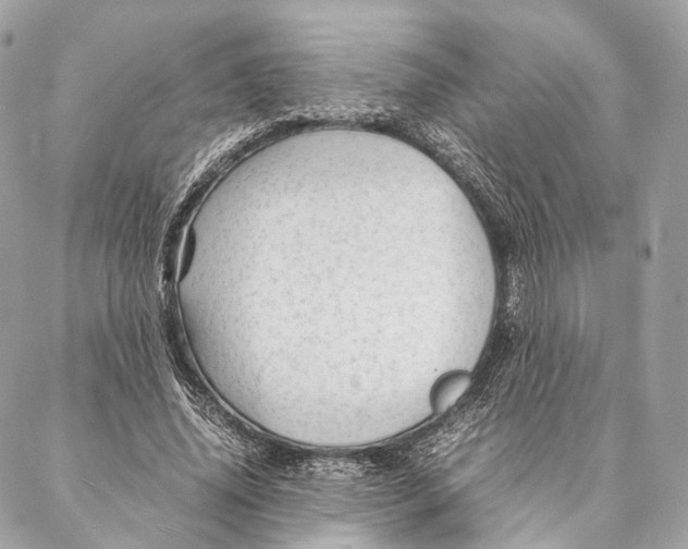 X0000087390636200705111801