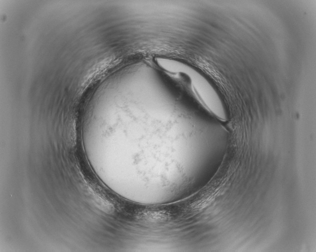 X0000087390638200705111801