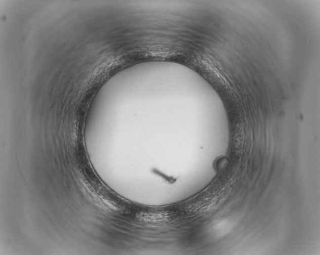 X0000087390639200705111801