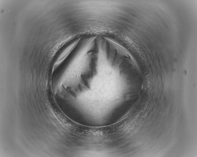 X0000087390640200705111801