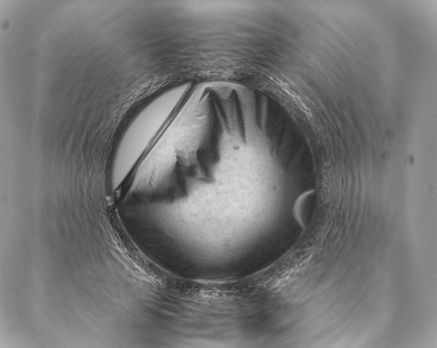 X0000087390641200705111801