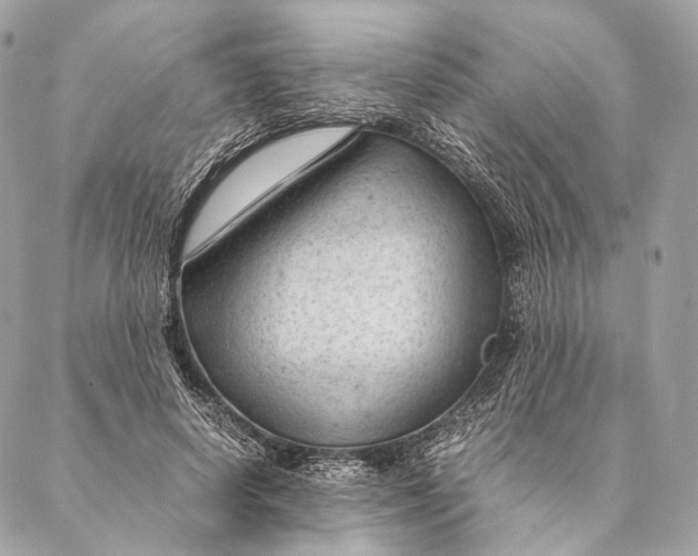 X0000087390642200705111801