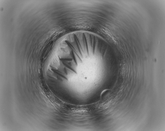 X0000087390643200705111801