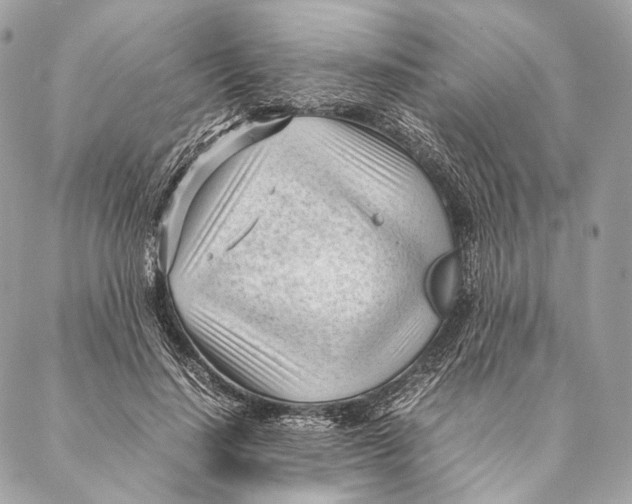 X0000087390644200705111802