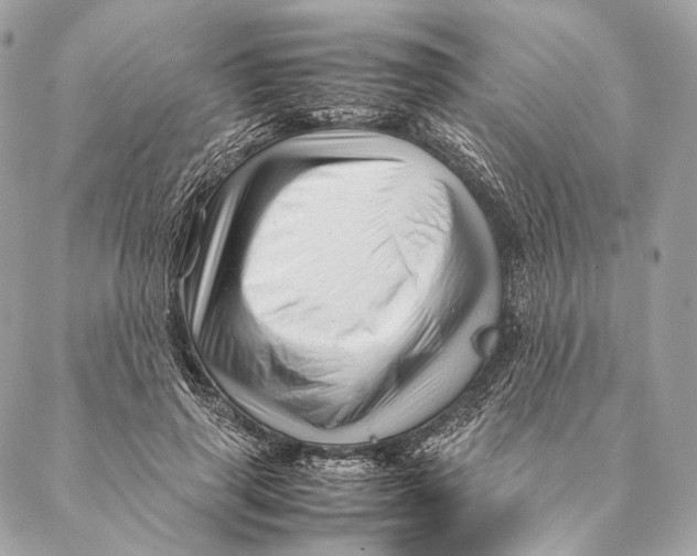 X0000087390645200705111802