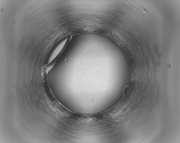 X0000087390646200705111802