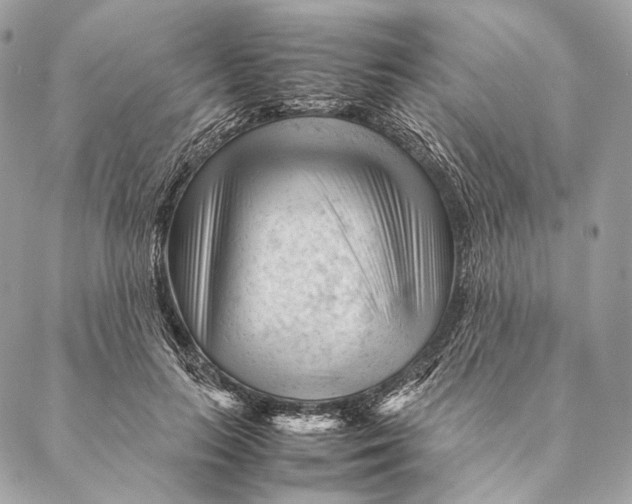 X0000087390647200705111802