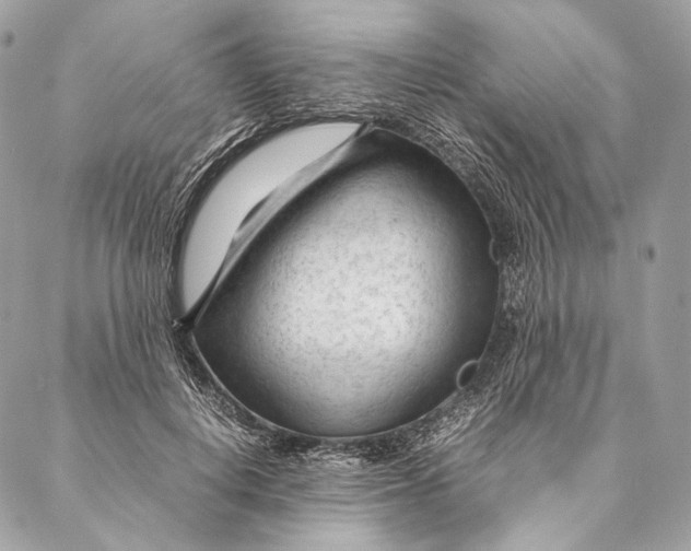 X0000087390648200705111802