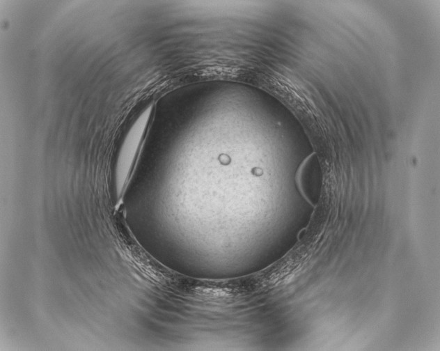 X0000087390649200705111802