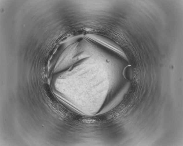 X0000087390650200705111802