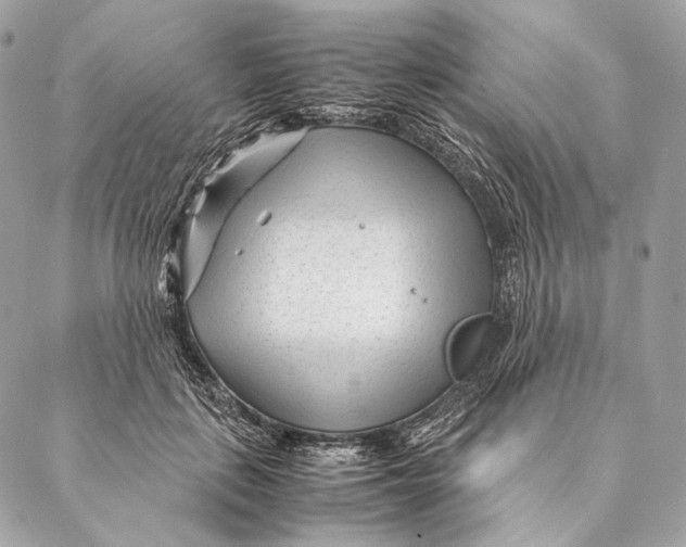 X0000087390651200705111802