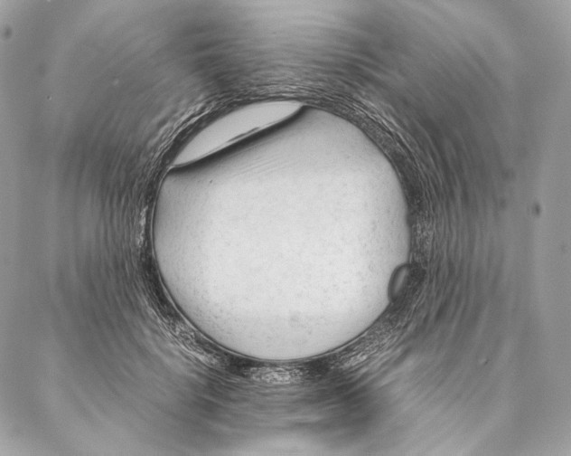 X0000087390652200705111802