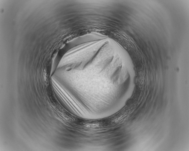 X0000087390653200705111802