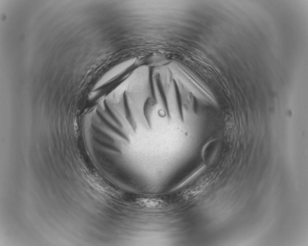 X0000087390654200705111802