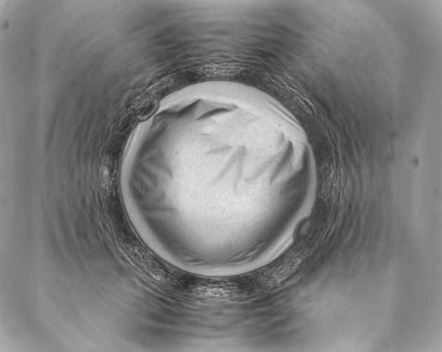 X0000087390655200705111802