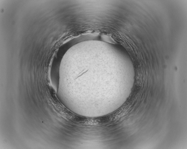 X0000087390656200705111802