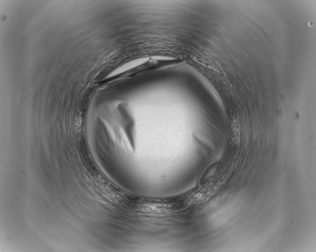 X0000087390657200705111802