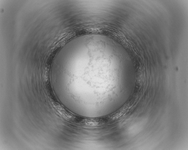 X0000087390658200705111802