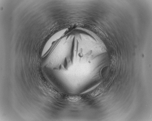 X0000087390659200705111802