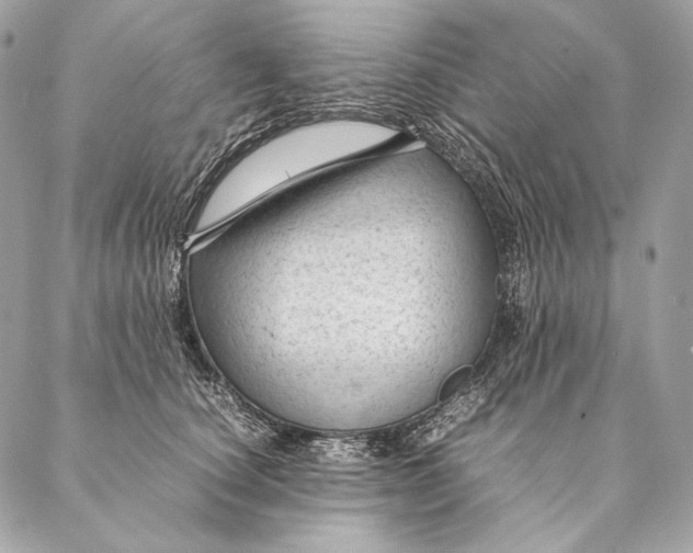 X0000087390660200705111802