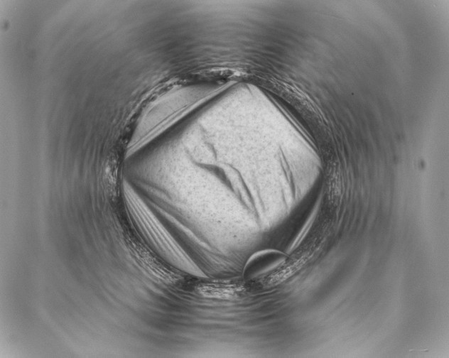 X0000087390661200705111802