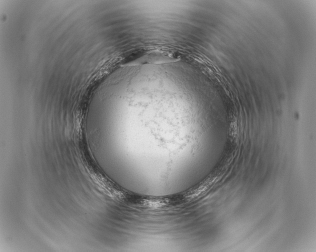 X0000087390662200705111802