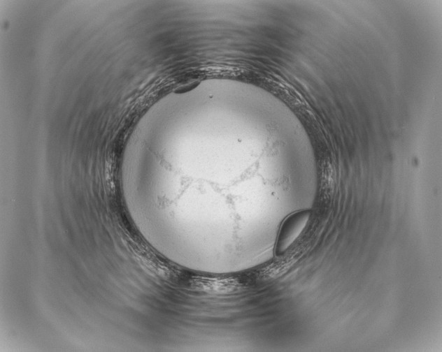 X0000087390663200705111802