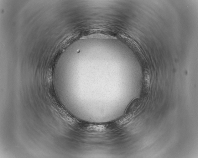 X0000087390665200705111802