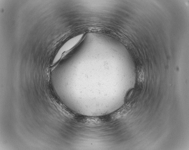 X0000087390666200705111802