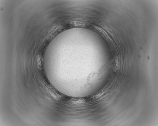 X0000087390667200705111802