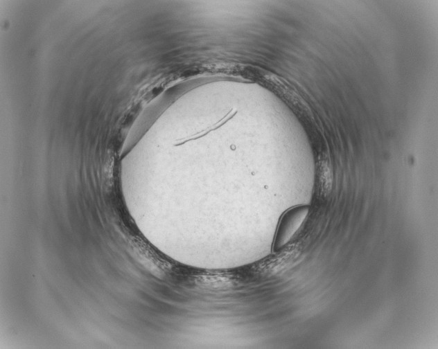 X0000087390668200705111802