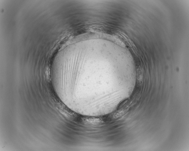 X0000087390669200705111802