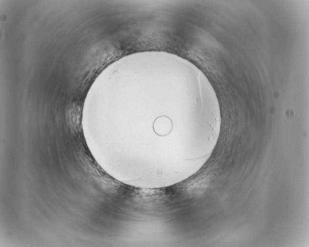 X0000087390672200705111802