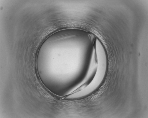 X0000087390673200705111801