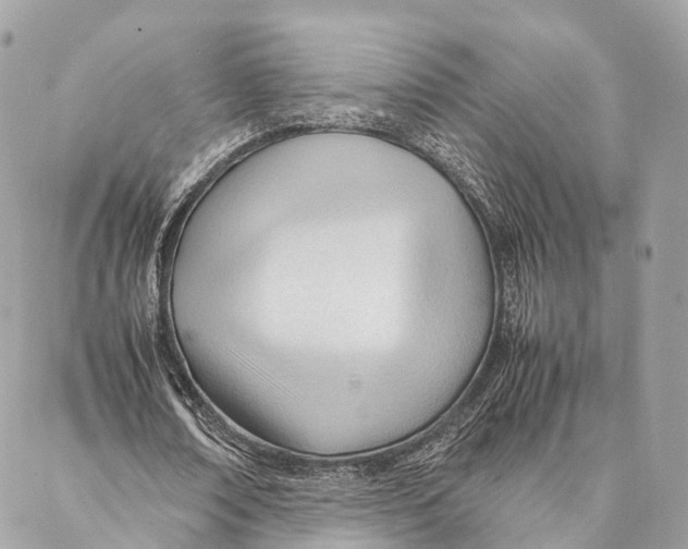 X0000087390674200705111801