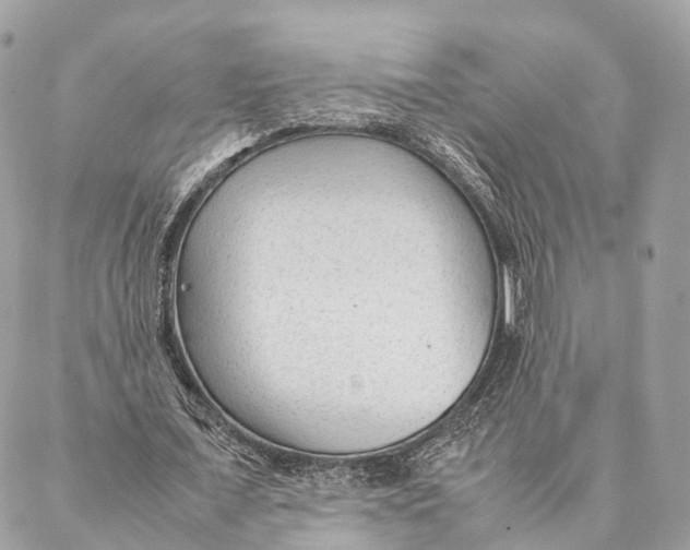 X0000087390675200705111801