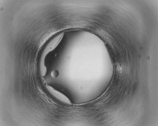 X0000087390676200705111801