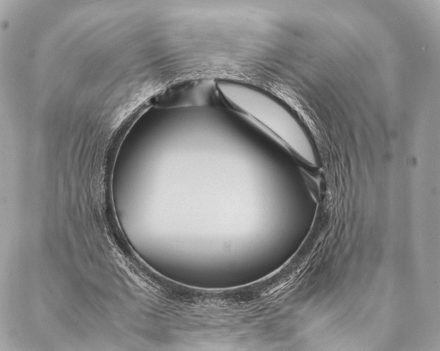 X0000087390677200705111801