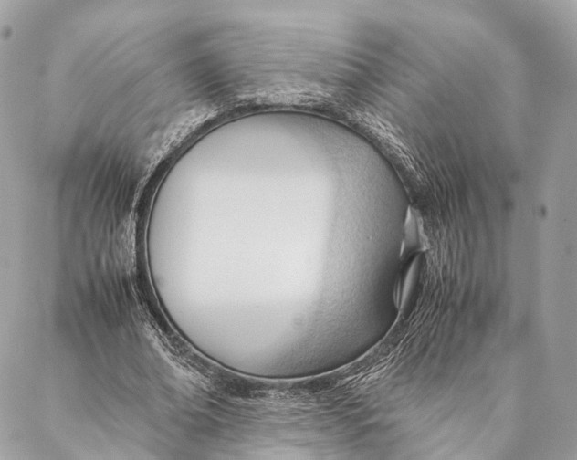 X0000087390678200705111801