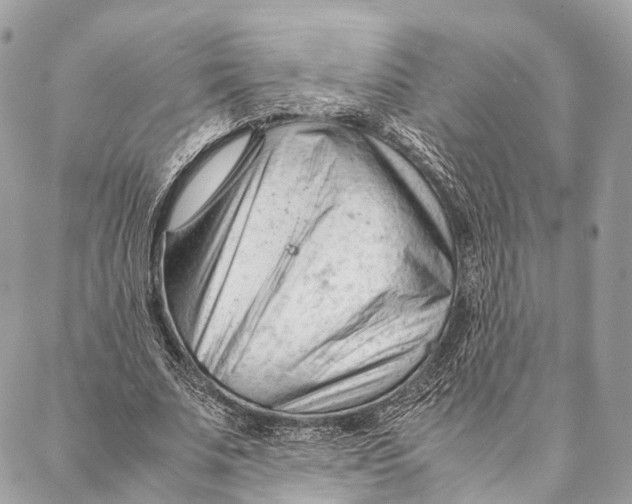 X0000087390679200705111801