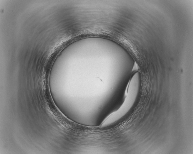 X0000087390680200705111801