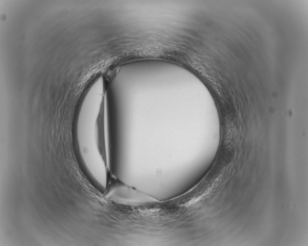 X0000087390681200705111801