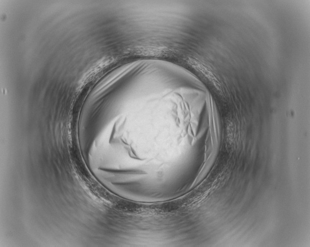 X0000087390682200705111801