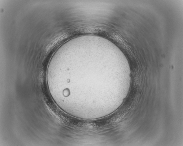 X0000087390683200705111801