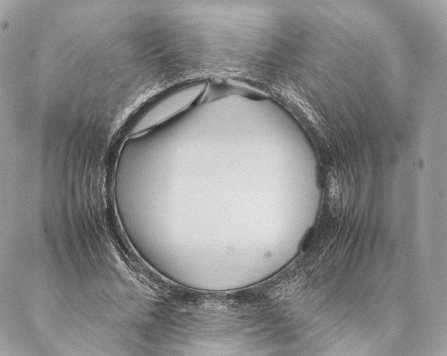 X0000087390684200705111801