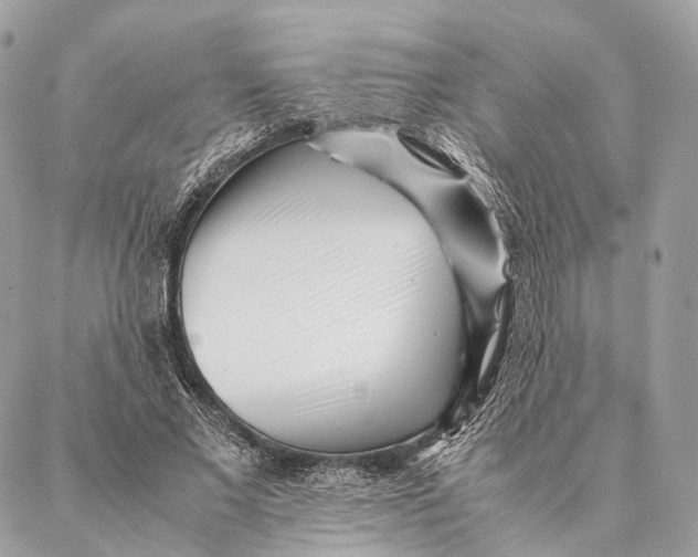 X0000087390685200705111801