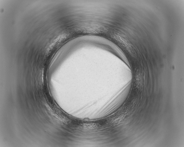 X0000087390686200705111801